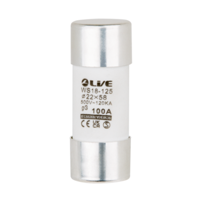 Live Electrical 80A 22x58mm gG Fuse FU80A22