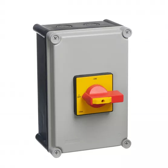 Europa IP65 100A 4 Pole Switch Disconnector LB1004P