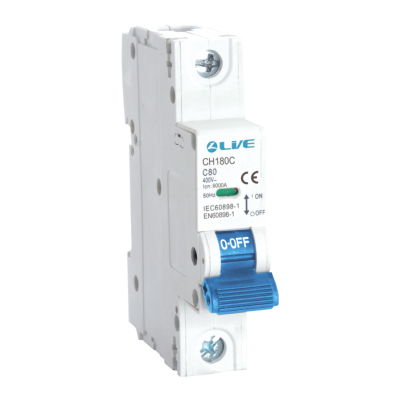 Live Electrical 100A 1 Pole C Curve 6kA MCB CH1100C