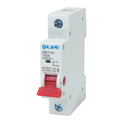 Live Electrical 1 Pole 100A Main Switch MS1100