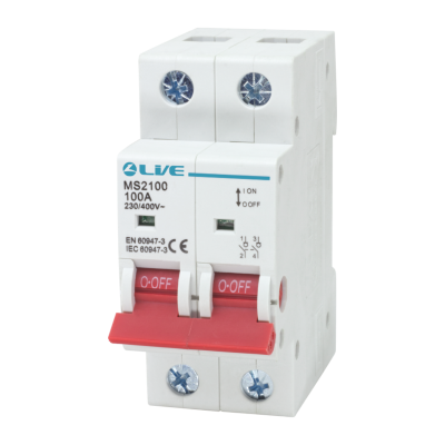 Live Electrical 2 Pole 100A Main Switch MS2100