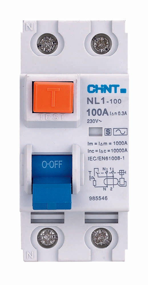 Chint 100A 100mA 2 Pole AC Type RCD NL1-100-2100/100