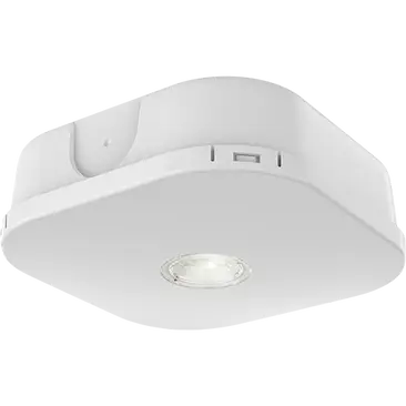 Ansell Falcon Pro DALI Self Test Emergency Surface Mounted Downlight White AFLP/1/W/3NM/DA